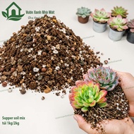 Super Soil Mix 1kg – Nutritious organic pre-mixed Soil for succulents cacti mini bonsai Perlite Peat