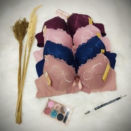 Women's Bra/Bra fashion Sk848 36B-42B 3-hook Wire Brocade