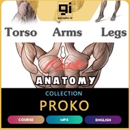 Proko - Anatomy Full Course