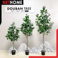 ⚡️NETHOME⚡️DOUBAN PREMIUM Plant Hiasan Viral Pokok home decor/ Pokok Hiasan Viral / pokok hiasan dal