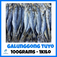 FishDaing.Ph DRIED SEAFOOD GALUNGGONG TUYO 100g 250g 500g and 1Kilo VACUUM SEALED