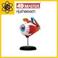 4D Vision 4D Eye Model