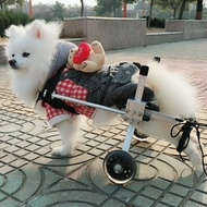 Cat Dog Wheelchair Lightweight Hind Limb Disability Scooter Wheelchair Paralysis Dog Scooter Auxiliary Hindlimb Exercise Car Broken Leg Rehabilitation Wheelchair