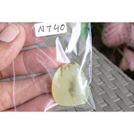 NATURAL STONEnatural BONGKAHAN STONE MATERIAL AGATE STONE AGATE RING STONE ROUGH ROCK AGATE MINERAL 