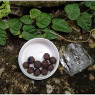 JAMU HITAM ORIGINAL BY PAK LONG MAN