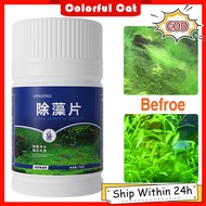 Algae Remover For Aquarium 150 Capsules Algae Remover Clear Water Quality Anti Algae For Aquarium
