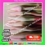 bunga kecombrang segar-bunga kecombrang honje-bunga kecombrang untuk masak 1kg