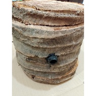 Log Koloni Perangkap Kelulut Stingless Bee Colony Hive Trap by emaworkandshopofficial