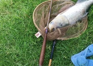 คันชิงหลิว GW โอจีซัง (おじいさん)  รุ่น 1 เป็นคันเวทแข็ง พาวเวอร์ลีฟปลายสูง สะบัดเหยื่อได้ดี  เหมาะกับสา