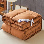 Five-star Hotel Duvet 95 White Goose Down Thick Warm Winter Quilt Spring and Autumn Quilt Duvet Inse