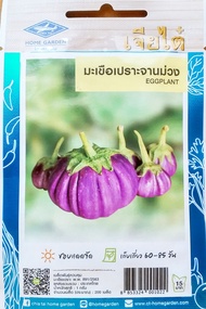 เมล็ดพันธุ์ผัก เจียไต๋ ผักซอง มะเขือจานขาว มะเขือจานม่วง น้ำเต้า ฟักทอง ฟักทองลายข้าวตอก ฟักทองข้าวต