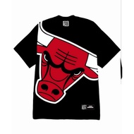 CHICAGO BULLS BIG

