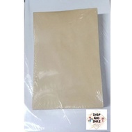 CATALOG ENVELOPE 6x9 (100's)