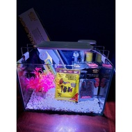 Mini fish tank size 30x15x20. Free fish food and plastic plants when buying full combo
