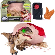 Primal Hatch Jurassic World Interactive T-Rex Toy Dinosaur Egg | Interactive Dino Figure, Realistic 