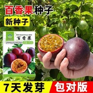 Hot-selling Fast Shipping Passion Fruit Seed Balcony Potted Genuine Golden Passion Fruit Sifanlian N