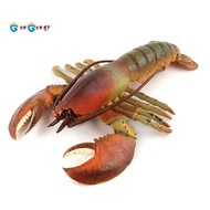 Realistic Marine Simulation Lobsters Model Australian Lobster Boston Lobster  Toy for Kid Gift B