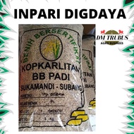 Benih padi Inpari DIGDAYA