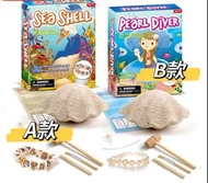 💥女孩款DIY採珍珠貝殼手鍊款考古 🪓挖掘 STEAM教學玩具化石禮物 🎁