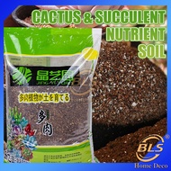 Cactus & Succulent Nutrient Soil Organic Succulent Potting Mix Garden Soil Succulent Cactus Stone Ta