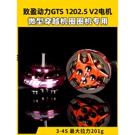 Zhiying Power GTS V2 1202.5 Brushless Motor 1s2s Circle Machine Indoor Through Machine Racing Motor