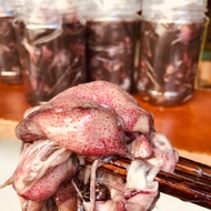 Squid Fish Sauce Pot Type 1 [500Gr] - Xu Nau Specialty - Original Product of Binh Dinh