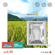 Ajiebb ulat pengorek batang sawah padi kesing padu gardening bendang coragen racun