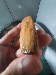 Batu sempur bule ruyung banten 1kg /bo sempur bule ruyung 1kg/ Batu akik sempur ruyung bule banten