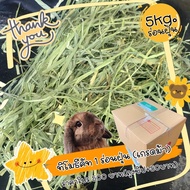 Rabbit Grass 5 Kg Good Value Timothy Cut 1 Pure Leaves Alpha Premium Sifted Dust 5 10 Per Bag