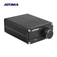 AIYIMA S01 Subwoofer Audio Amplifier 100W TPA3116 TPA3116D2 Mono Digital Power Amplifiers NE5532 OP AMP With Case