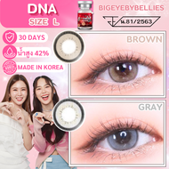 🔥คอนแทคเลนส์ 💕ขนาดบิ๊กอาย💕 Dna (Lovelylens) Gray / Brown