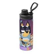 Bluey Large capacity insulated water bottle 18OZ,Cartoon insulated kettle 500ML sports water bottle,