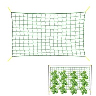 9 Strands Plant Climbing Netting For Cucumbers Vines Fruits Vegetables Trellis Netting Durable Nylon