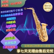 Original Genuine Brand New Discount E Tuned Advanced Alto Saxophone Instrument for Beginners Gold Sa