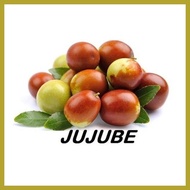 ﹍ ☇◑ ◳ jujube chinese dates mansanitas fruit tree seeds