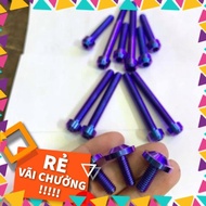 Full set of 13 GR5 Titan engine block screws for Vario 2017 2018 (including 3 pot lids)