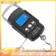 Digital Fish Scale Fishing Weights Scale, Hanging Scale Digital Weight Backlight LCD Display 110Lb/5