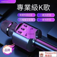麥克風 話筒山水F23話筒音響一體麥克風聲卡全民k歌神器兒童無線唱歌家用