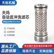 Backwash Stainless Steel Filter Element Miscellaneous100031.525Degreasing.02(Filter Element Tianma F