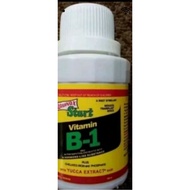 Vitamin,b1