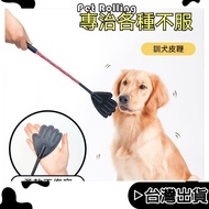 Next Day Arrival+[Pet Rolling] Training Stick Dog Pat Guide Cat Patting Caring