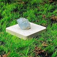 能量擺飾-天然可愛能量原礦小天青石 療癒 治癒 快速出貨