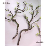 Mori Series Mori Series Moss Tree Vines Dead Vines Landscaping Decoration Display Holiday Rattan Mos