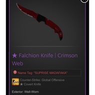 CSGO FALCHION CRIMSON WEB STEAM KNIFE SKIN FOR SALE *PROMOTION*