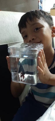 CONTAINER BETA FISH 2 RM5
