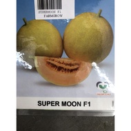 premiun quality bernih rock melon super moon F1