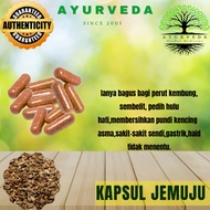 Ayurveda Kapsul 100% BIJI JEMUJU/CAROM SEED/AJWAIN 1biji ORIGINAL*labtest approved*