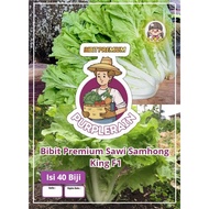 Bibit Premium Sawi Samhong King F1  | Biji Benih Sawi Samhong King |Sawi Samhong King