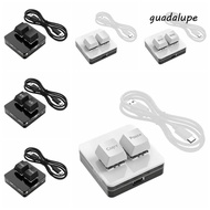 GUADALUPE Custom Mini 2 Key Keypad, Red Switch Keypad Copy Paste Keypad, Hot Swap Acrylic Type-c Int