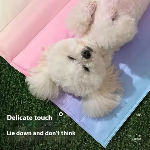 New dog bed for spring and summer breathable dog bed, small and medium-sized dog and cat bed, cat be